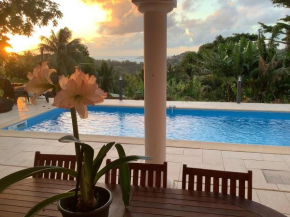 Villa de 3 chambres avec vue sur la mer piscine privee et jardin clos a Le Robert